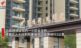 广东顺德最新的爆料,揭秘顺德最新动态与热点事件